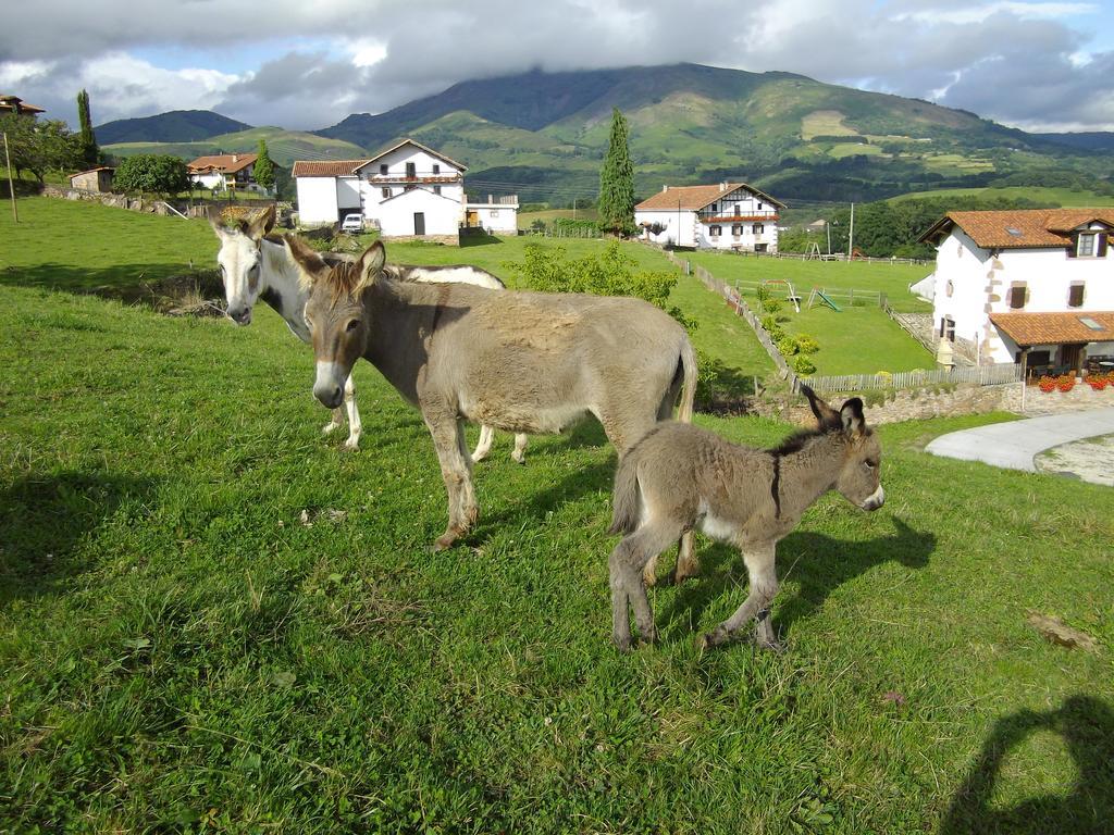 Casa Rural Petisansenea II Zuaztoy de Azpilcueta المظهر الخارجي الصورة