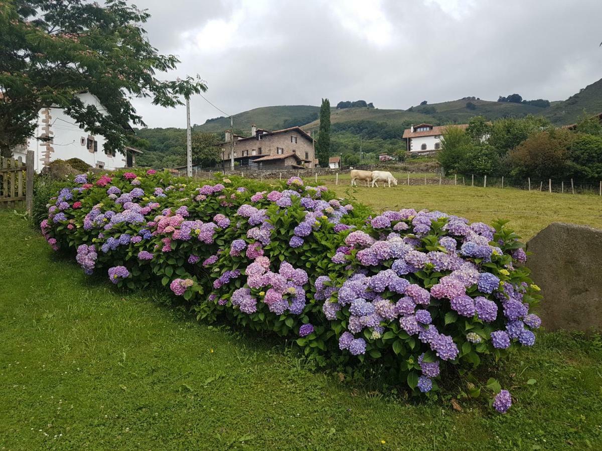 Casa Rural Petisansenea II Zuaztoy de Azpilcueta المظهر الخارجي الصورة