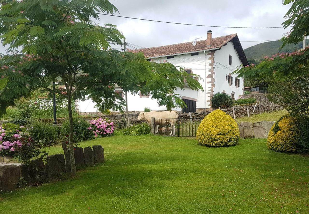 Casa Rural Petisansenea II Zuaztoy de Azpilcueta المظهر الخارجي الصورة