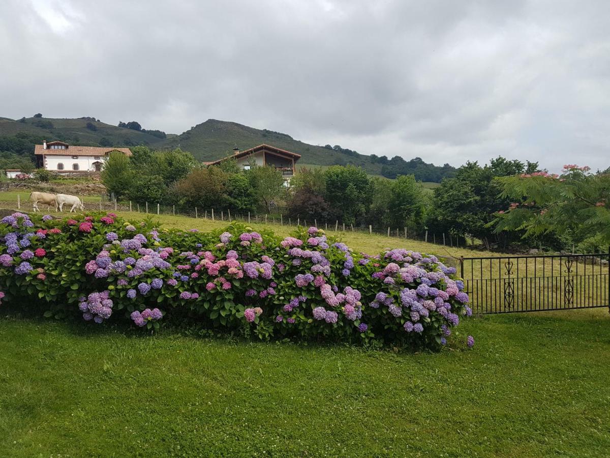 Casa Rural Petisansenea II Zuaztoy de Azpilcueta المظهر الخارجي الصورة
